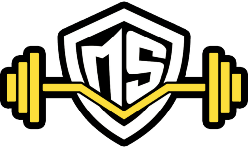 milossoknic.ba logo